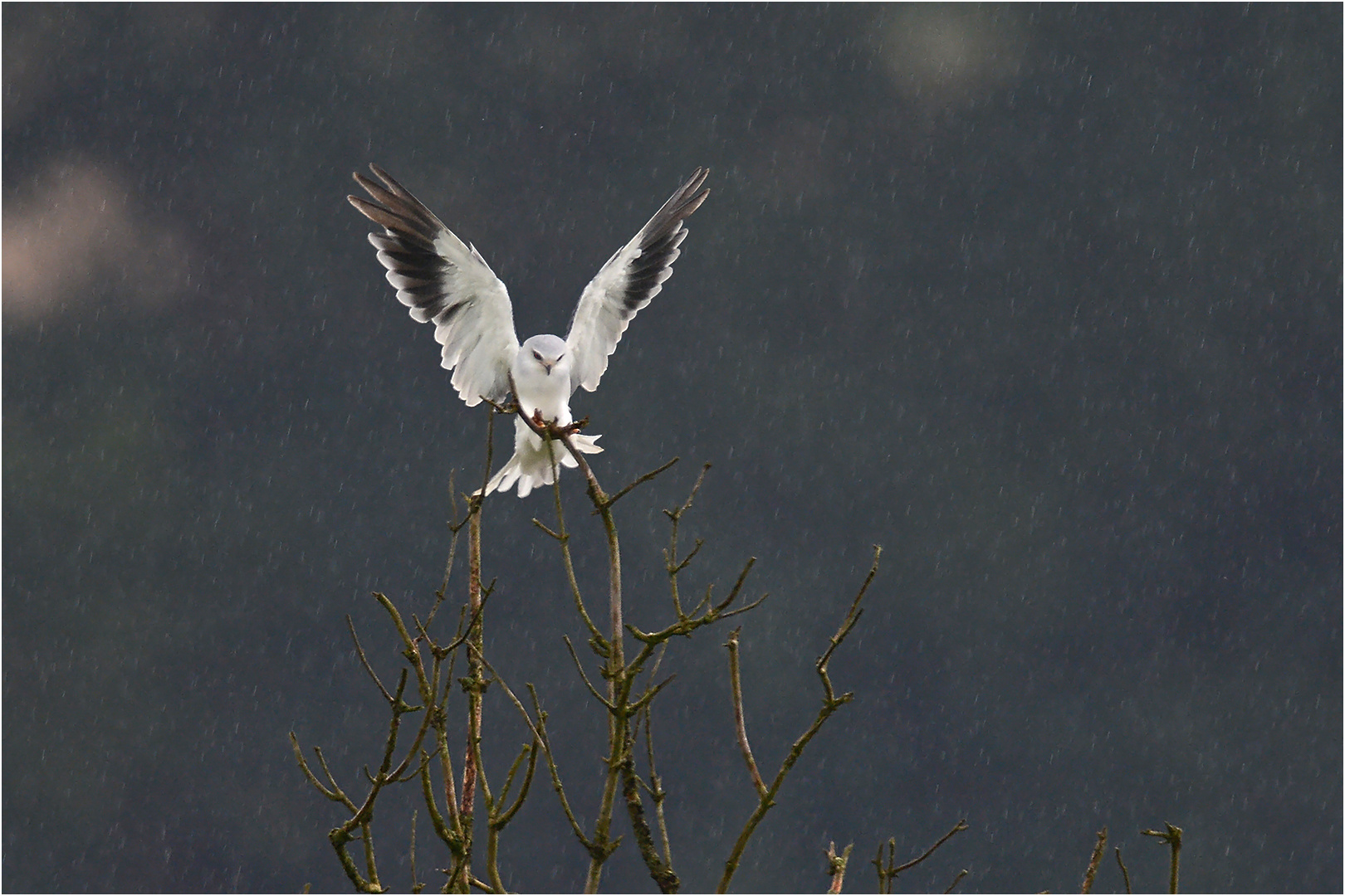 Landung im Regen