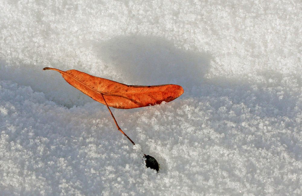 Landung im Schnee