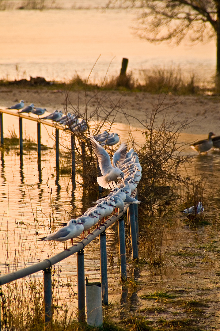 Landung in der herbstlichen Abendsonne