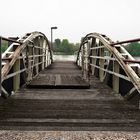 Landungsbrücke am Rhein