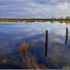 Landunter im Recker Moor (2)