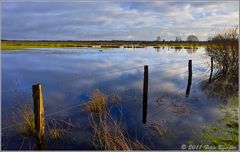 Landunter im Recker Moor (2)