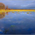 Landunter im Recker Moor