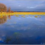 Landunter im Recker Moor