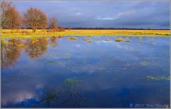 Landunter im Recker Moor