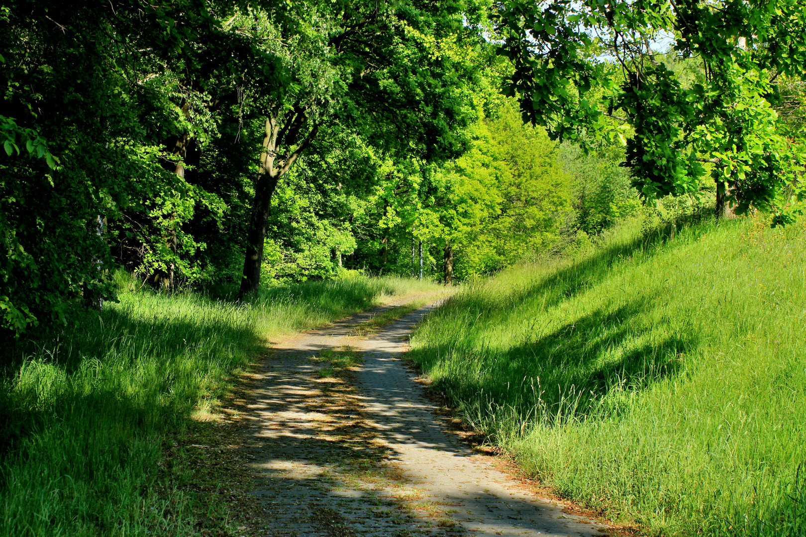 Landweg