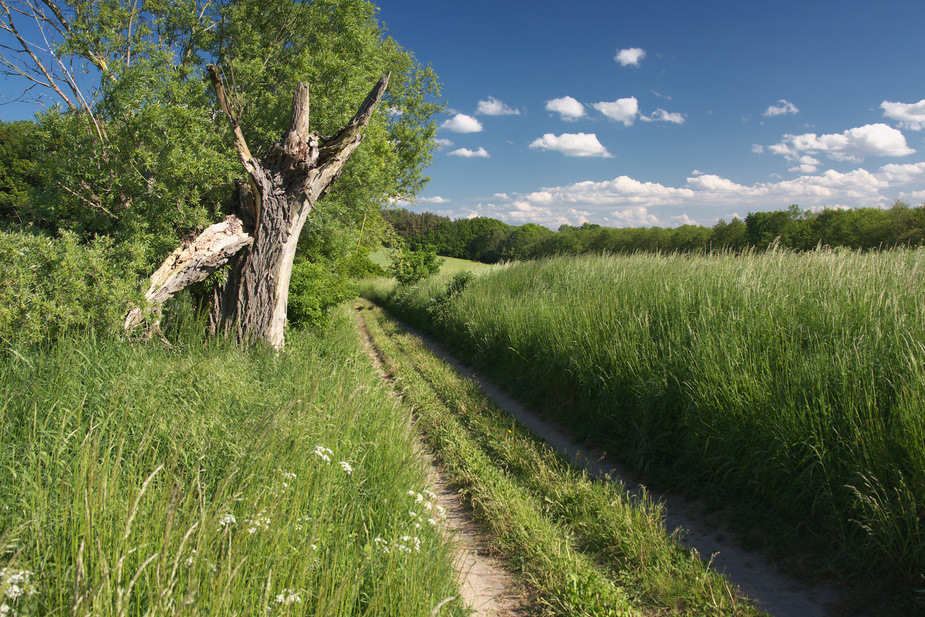 Landweg