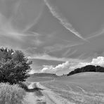 Landweg auf Rügen