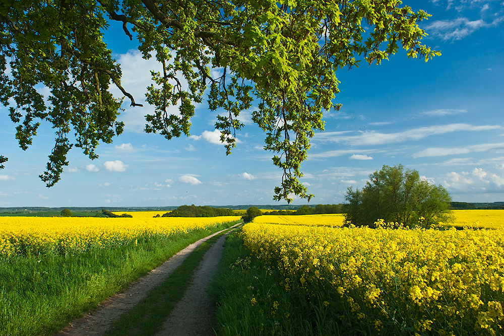 Landweg