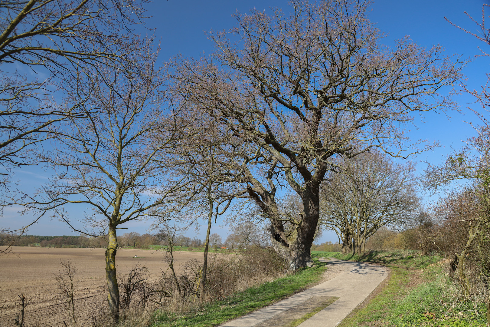 Landweg Westenbrügge