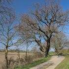 Landweg Westenbrügge