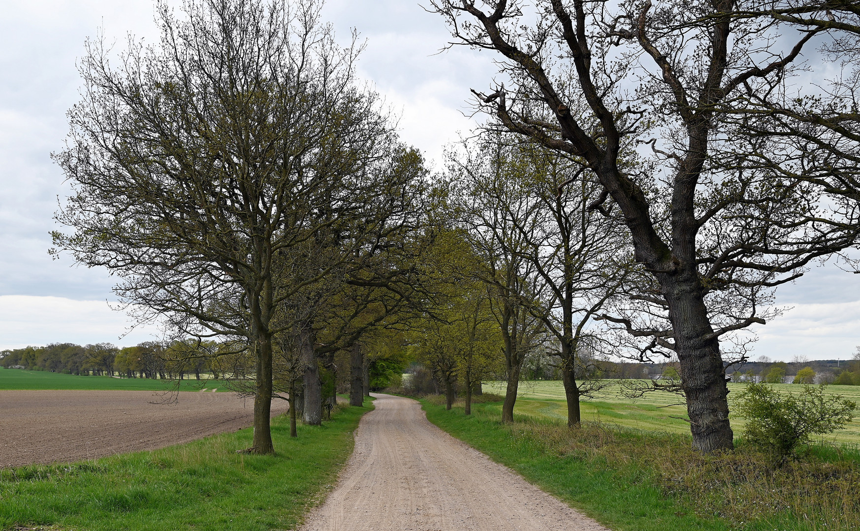 Landwege im Kreis Plön