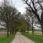 Landwege im Kreis Plön