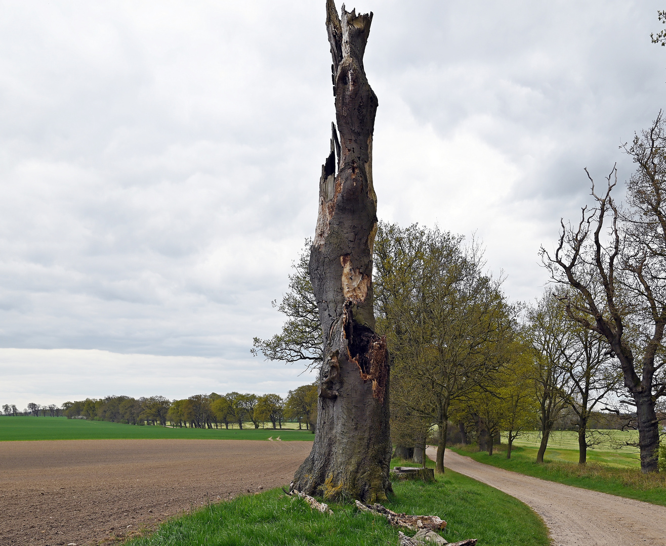 Landwege im Kreis Plön