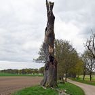 Landwege im Kreis Plön