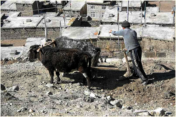 Landwirt bei der Arbeit