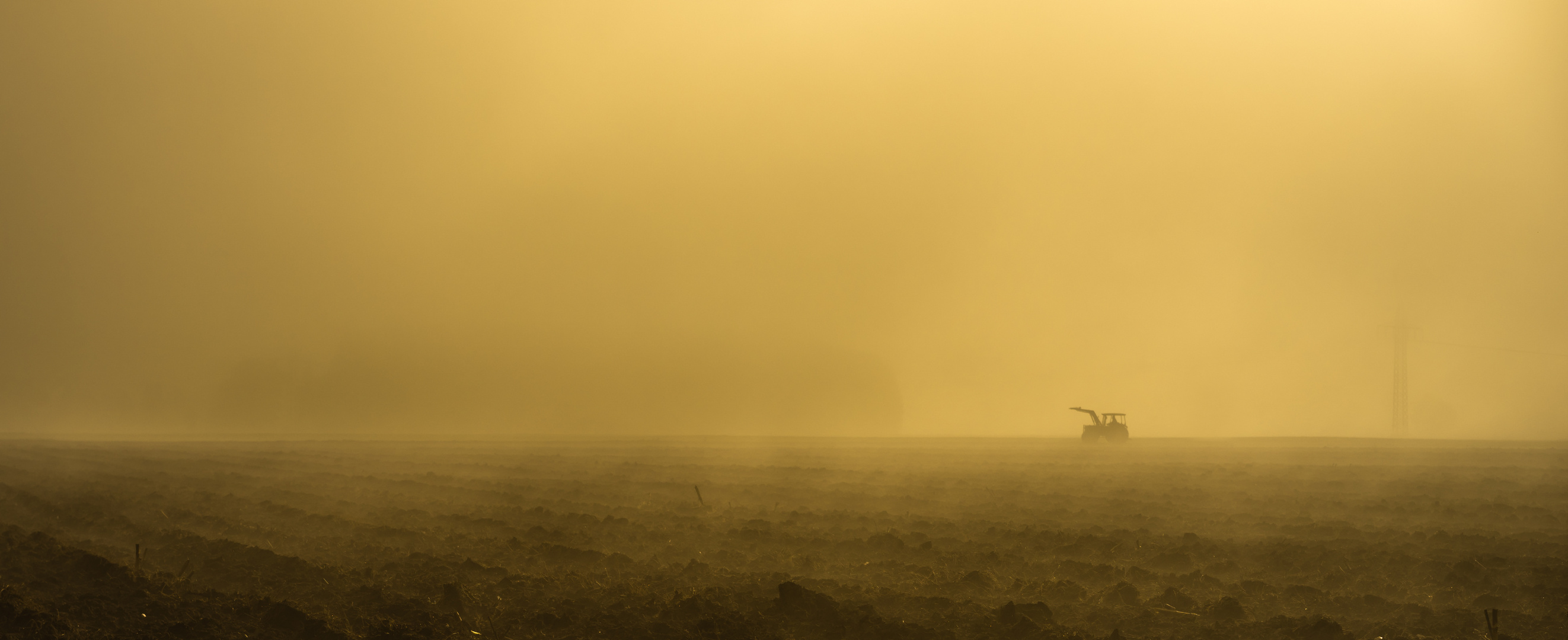 Landwirt im Nebel