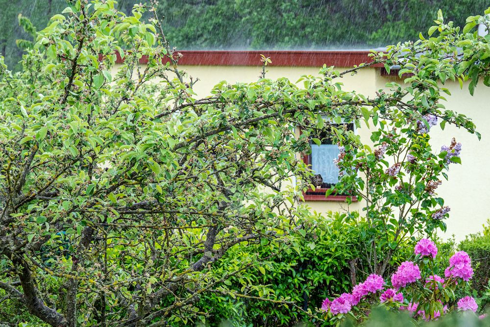 Landwirte und Gärtner hoffen auf mehr Regen