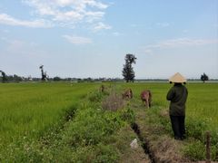 Landwirtin in Hue Vietnam