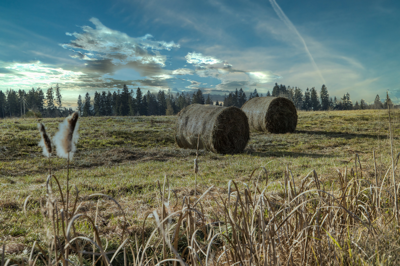 Landwirtschaft