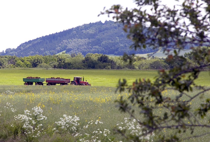 Landwirtschaft