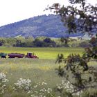 Landwirtschaft