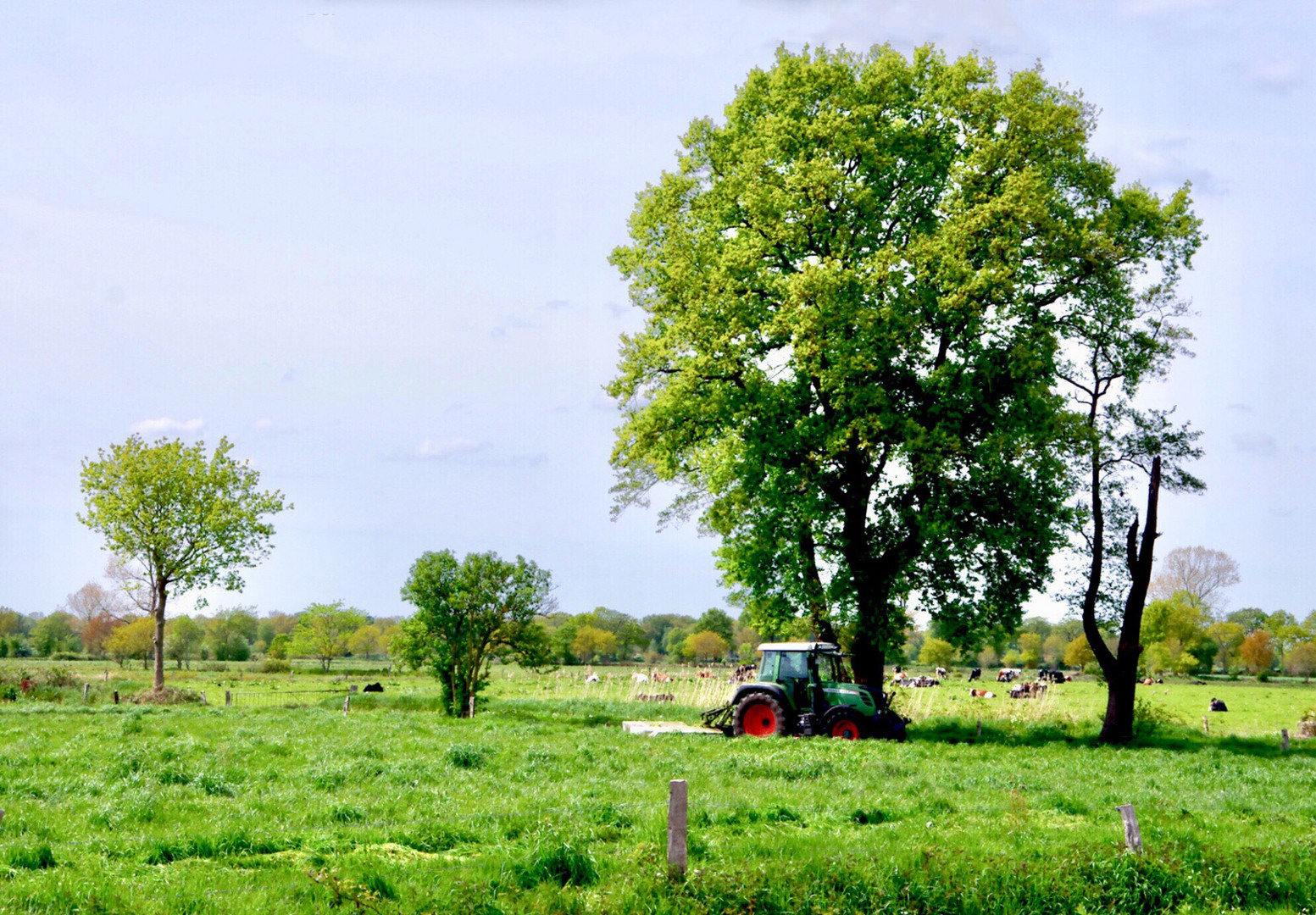 Landwirtschaft