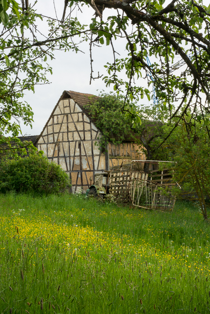 LandWirtschaft