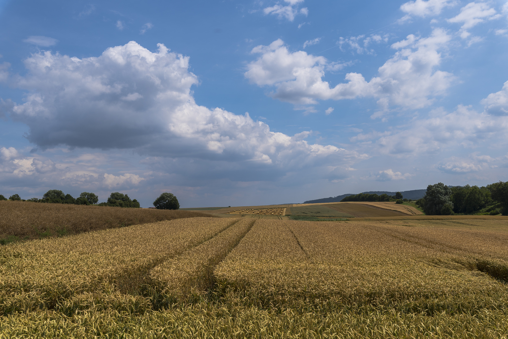 Landwirtschaft