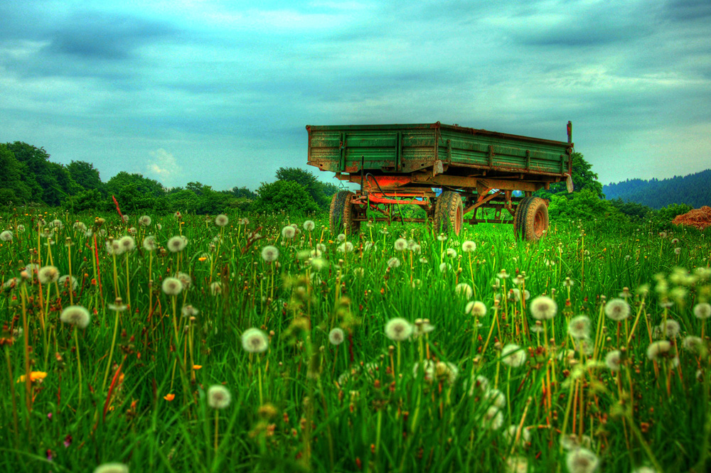 Landwirtschaft