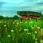 Landwirtschaft