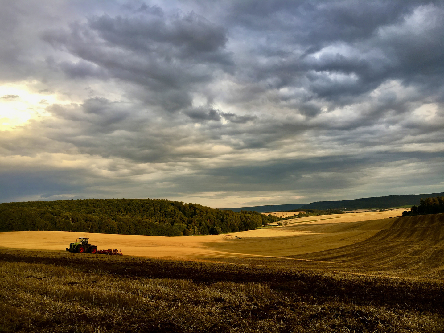 Landwirtschaft