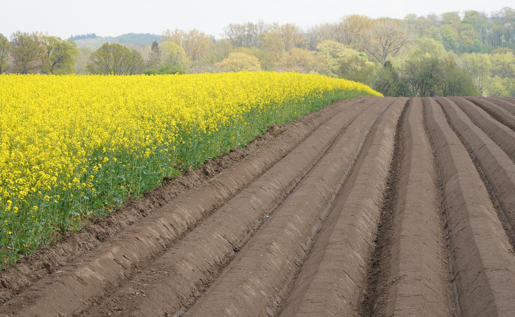 Landwirtschaft 