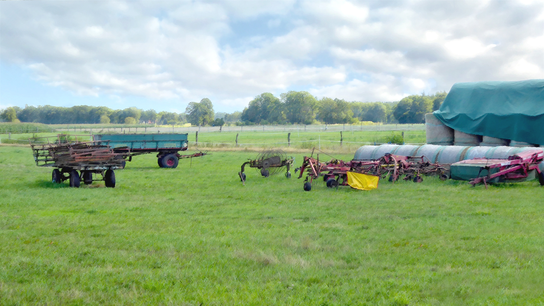 landwirtschaft / agrikultur / 2019 