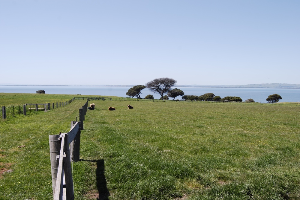 Landwirtschaft am Meer