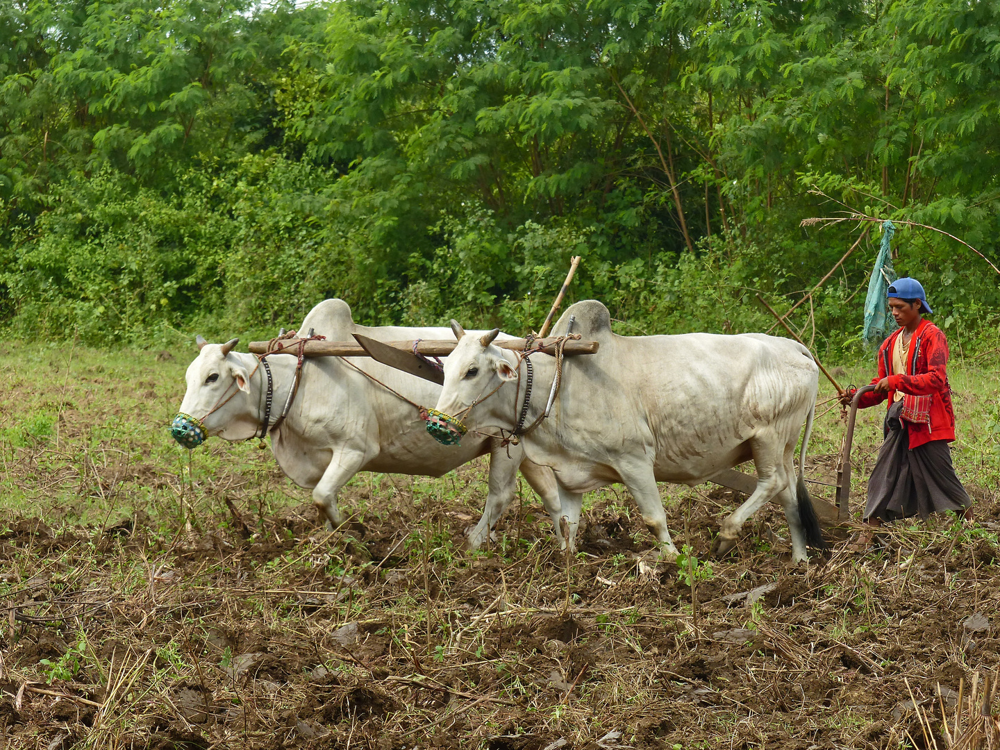 Landwirtschaft anders