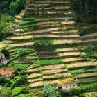 Landwirtschaft auf die harte Tour