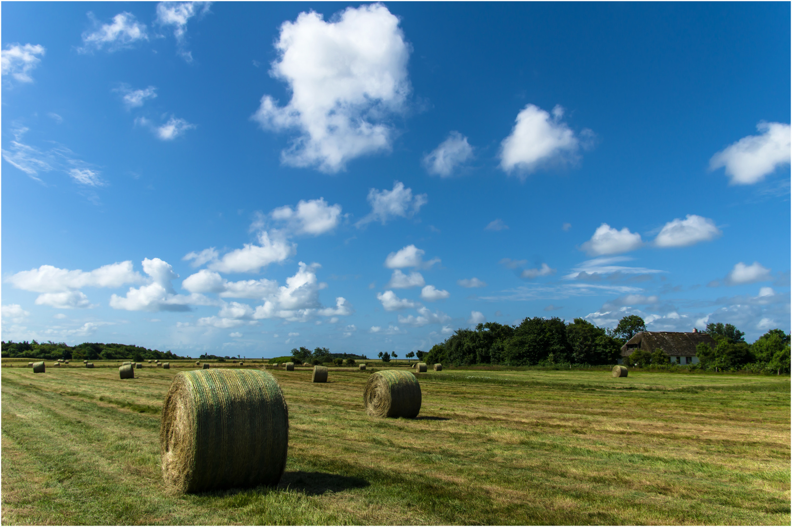 Landwirtschaft auf Sylt