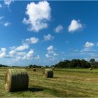 Landwirtschaft auf Sylt