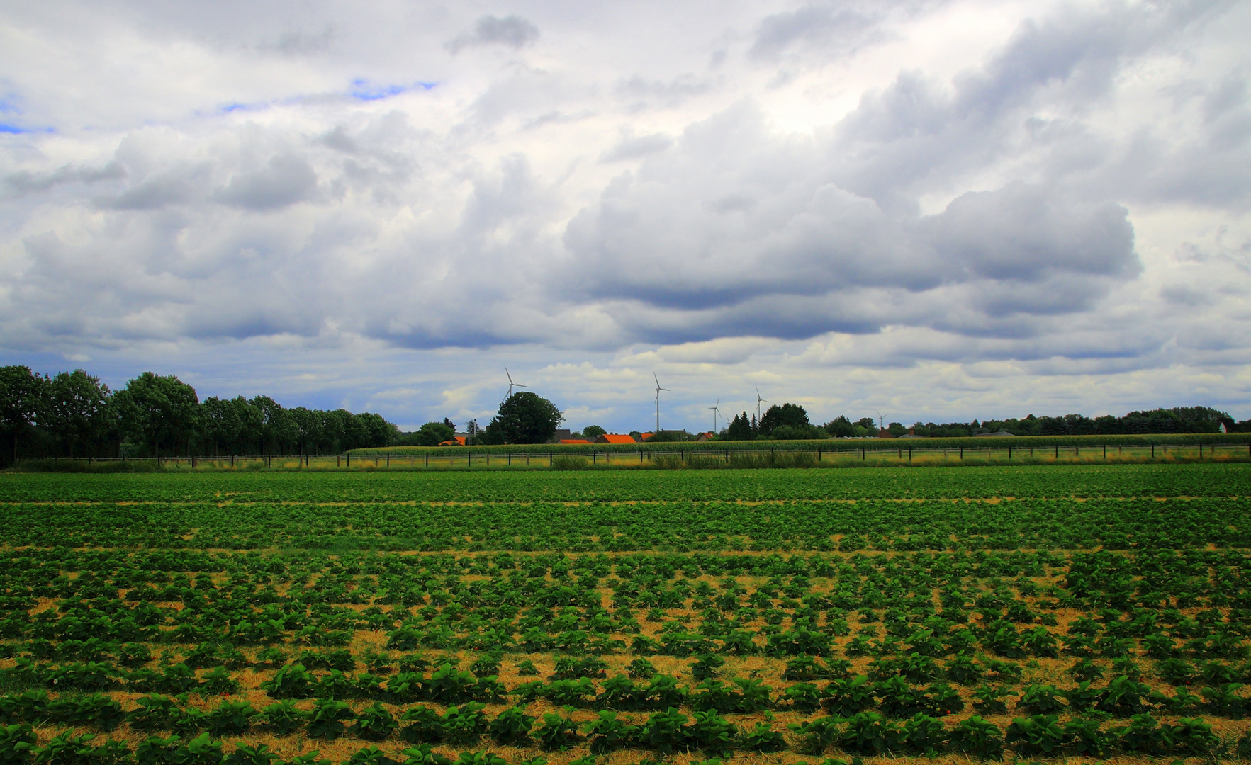 Landwirtschaft