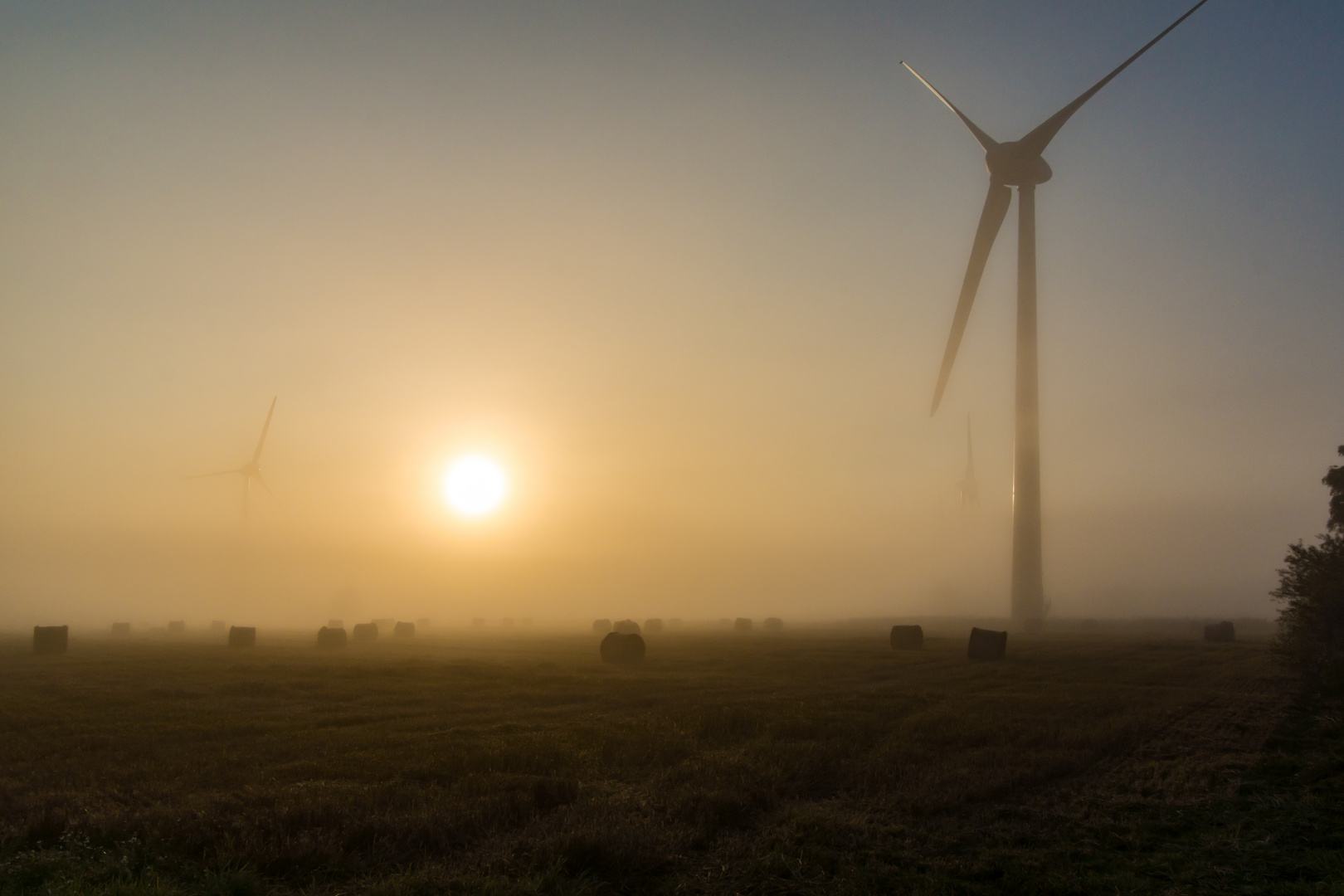 Landwirtschaft der Moderne mit Sonnenaufgang