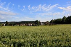 Landwirtschaft