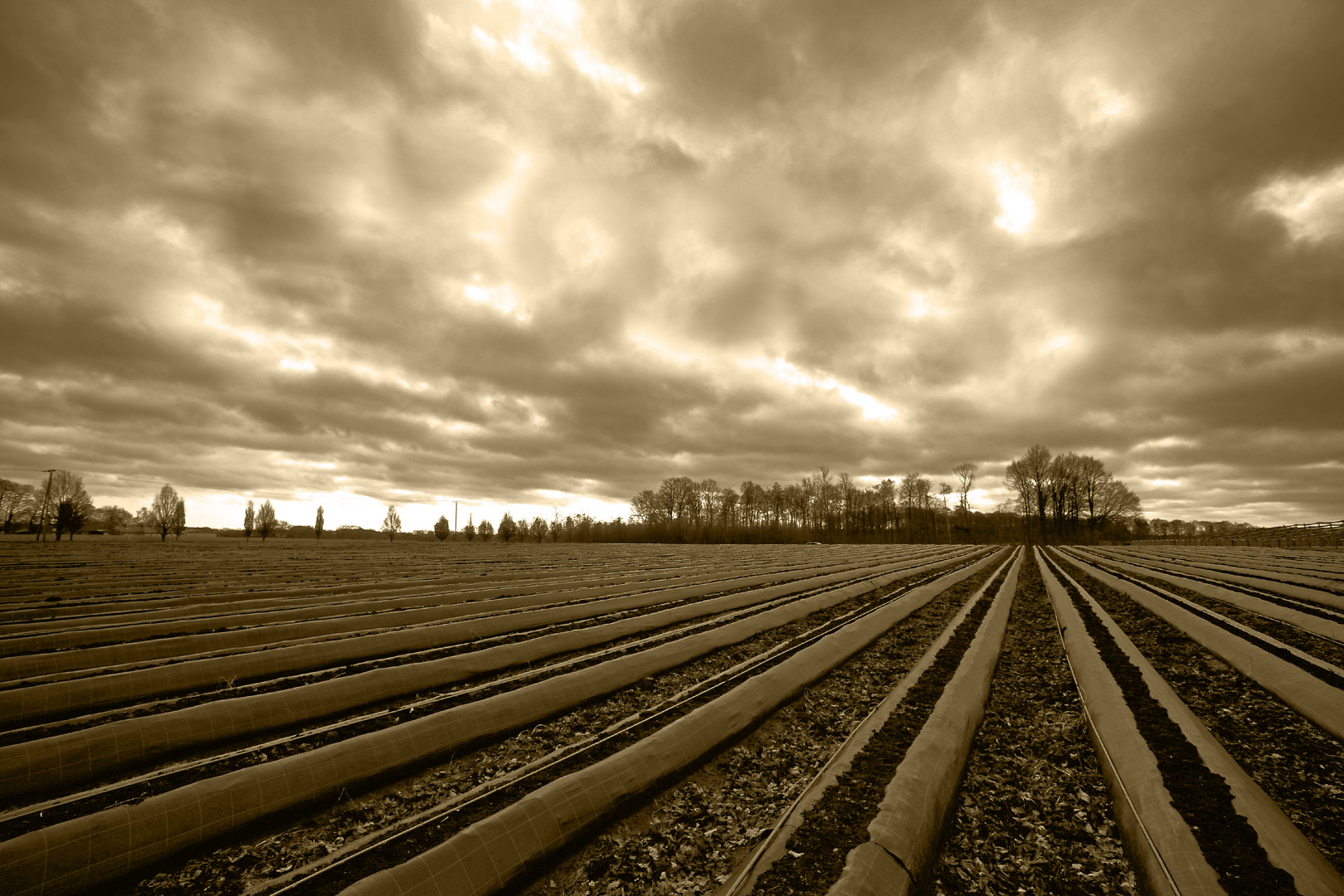 Landwirtschaft