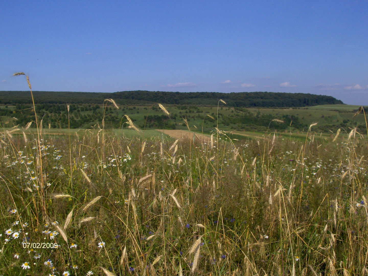 Landwirtschaft