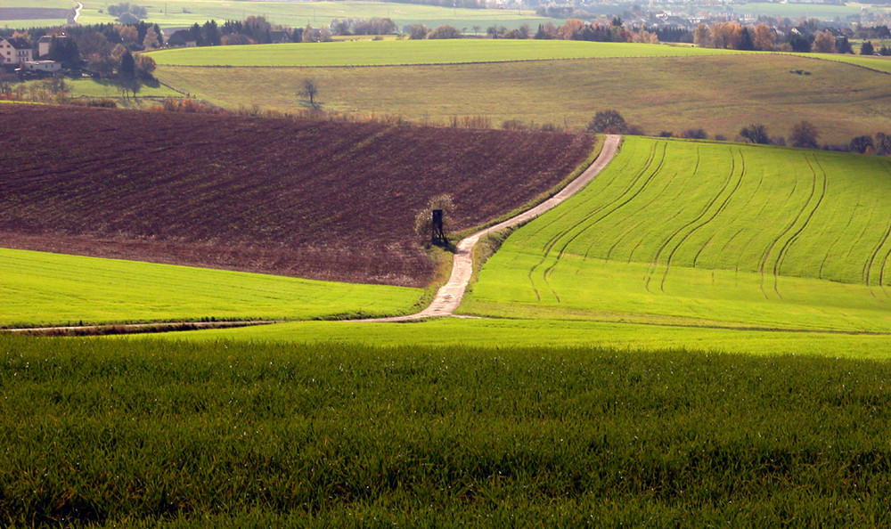 Landwirtschaft von Klaus Thome