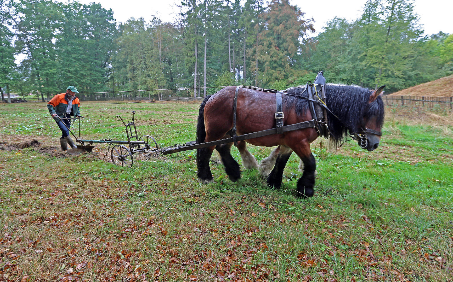 Landwirtschaft früher -1- Foto & Bild | natur, pferde, horse Bilder auf