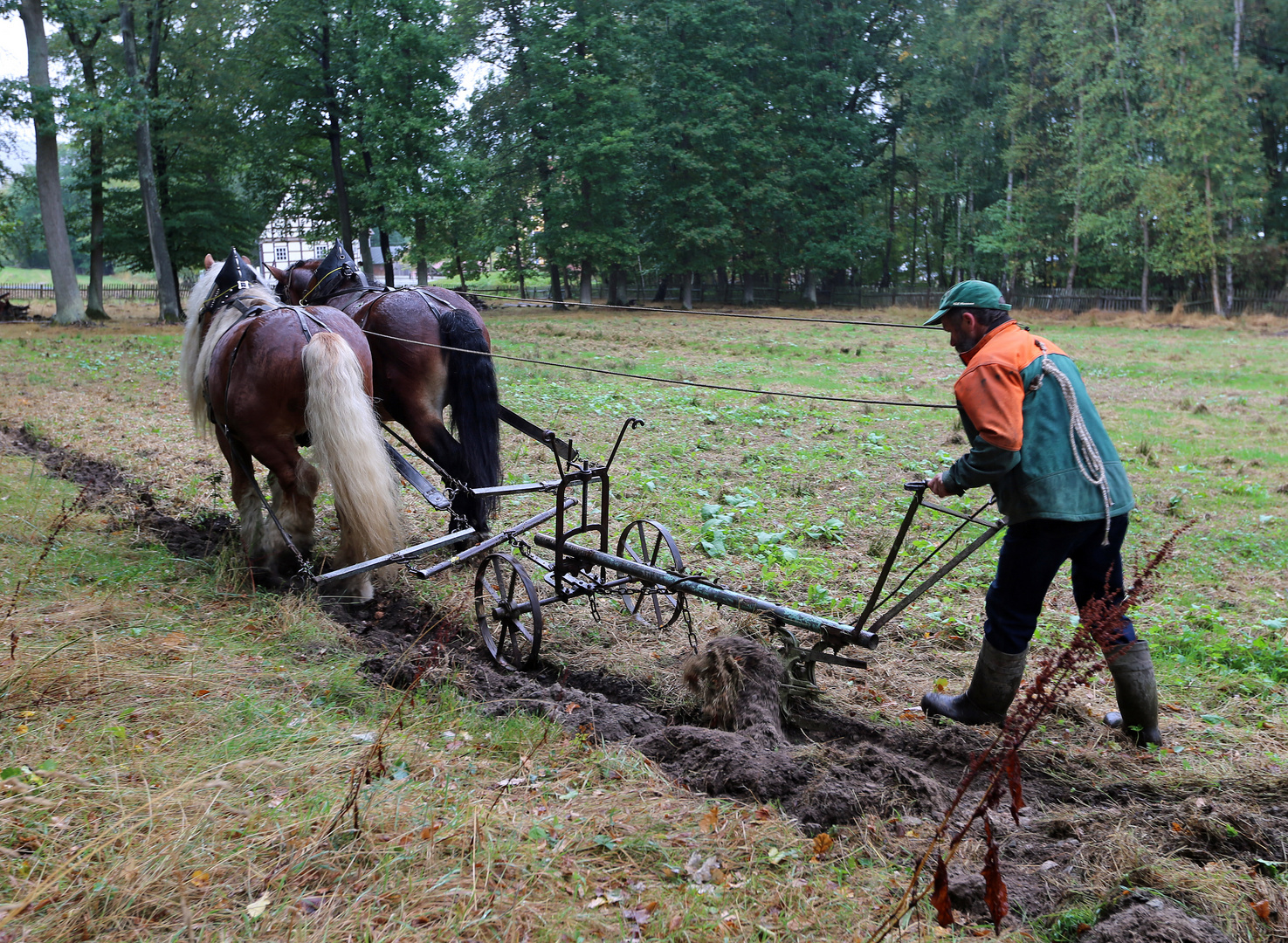 Landwirtschaft früher -2-