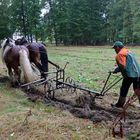 Landwirtschaft früher -2-