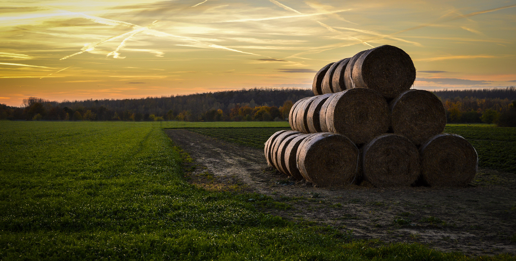 Landwirtschaft geht alle an :)