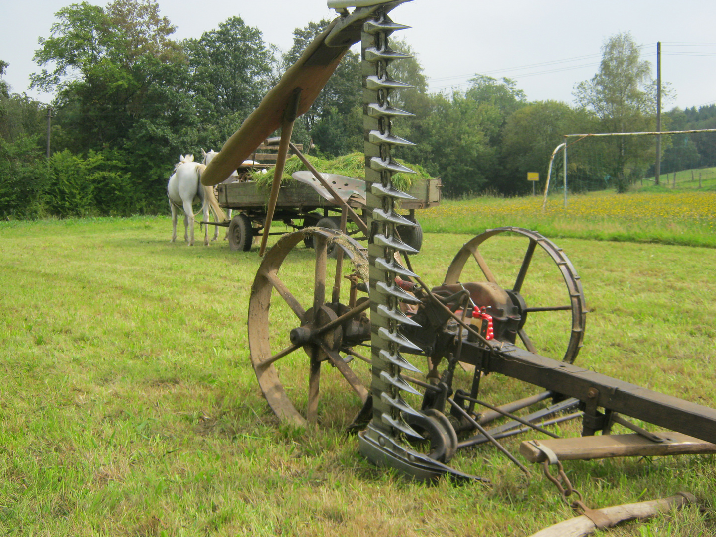 Landwirtschaft heute im Bergischen:) Foto & Bild | industrie und